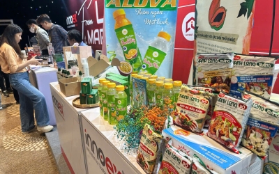 Khám Phá Sản Phẩm Nước Nha Đam Alova – Giải Khát Mát Lạnh Cho Mùa Hè