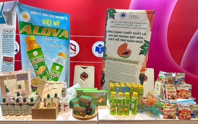 Tổng Hợp Các Hương Vị Nước Uống Nha Đam Alova: Chanh Dây, Dâu Tằm Và Những Lựa Chọn Yêu Thích