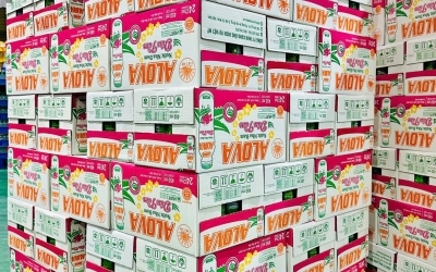 Thử Ngay Nước Nha Đam Dâu Tằm Alova – Sự Kết Hợp Hoàn Hảo Giữa Ngọt Ngào Và Mát Lạnh